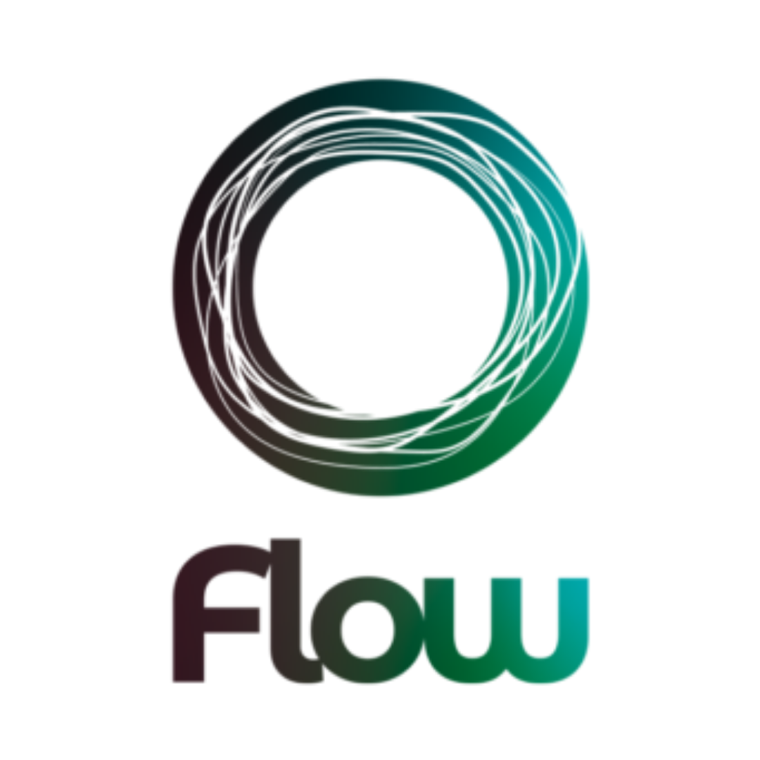 Flow Agency