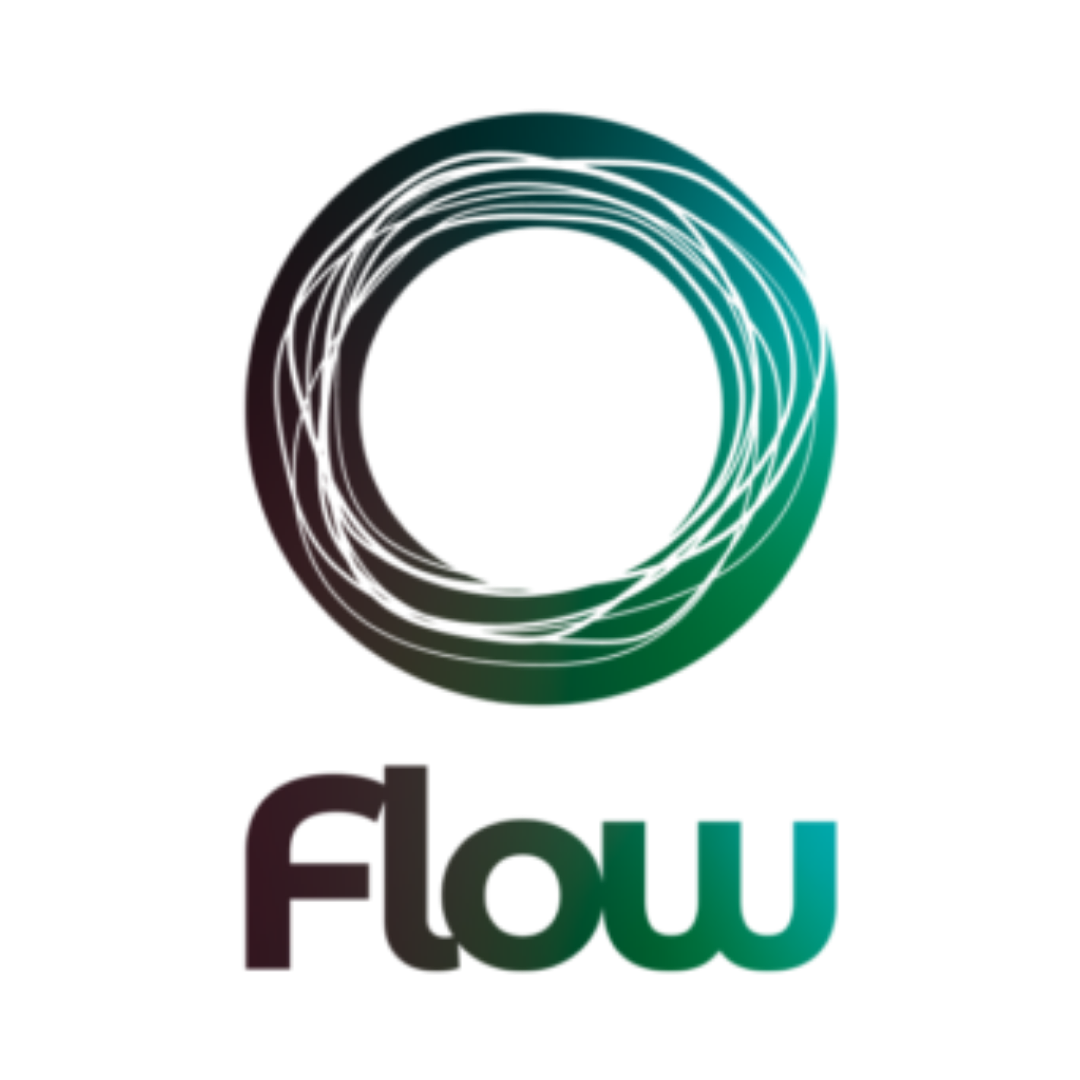 Flow Agency Marketing Digitale